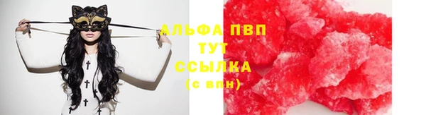 шишки Аркадак