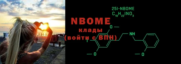 шишки Аркадак