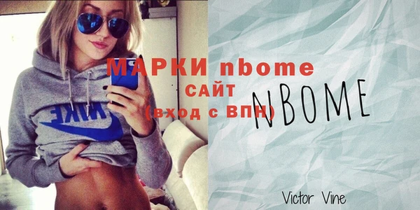 шишки Аркадак