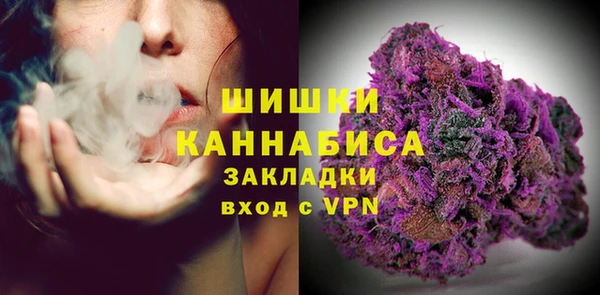 шишки Аркадак