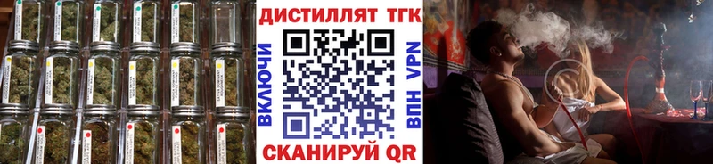 закладка  Багратионовск  ТГК Wax 